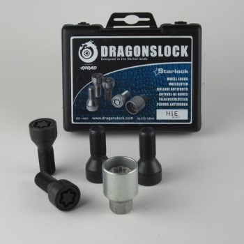 Dragonslock Velgenslot - Wielslot Set BMW X6 Vanaf 2010 - Verzinkt - Zwart Gecoat - Beste Keus