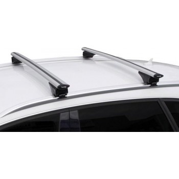 Twinny Load dakdragerset Fly Bar 124 cm zilver