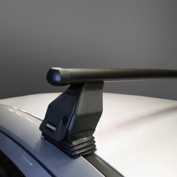 Dakdragers Citroen C4 Picasso (Mk1) MPV 2006 t/m 2013