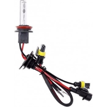 H1 6000K Xenon Lamp Universeel Vervangings Xenonlamp