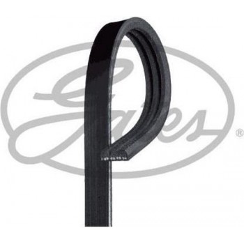 GATES Accessoireband 3PK853